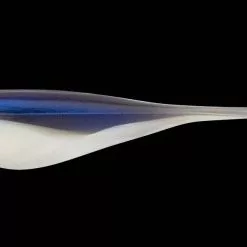 Lunker City 5" Fin-S Shad Soft Baits Lures