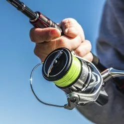 Shimano Stradic FL Spinning Reels