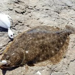 Berkley Gulp!® Saltwater Swimming Mullet Lures 16 Berkley Gulp!® Saltwater Swimming Mullet Lures