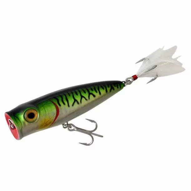 Tsunami TS Surface Popper Lures 1 Tsunami TS Surface Popper Lures