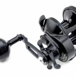 Accurate Tern Star Drag Conventional Reels