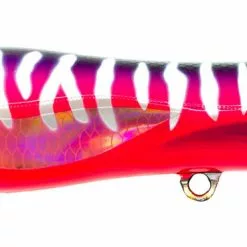 Lures Nomad Design Chug Norris 180 7" Popper 11 Lures Nomad Design Chug Norris 180 7