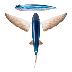 Nomad Slipstream Flying Fish Lures