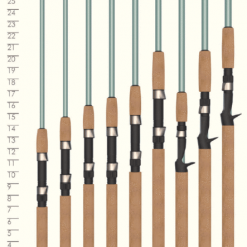 St. Croix Avid Series Inshore Spinning Rods
