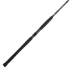 Penn Battalion II Inshore Spinning Rods