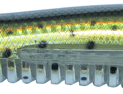 Ocean Born Lures Flying Pencill