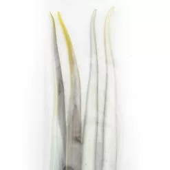 Bill Hurley Lures Bill Hurley 9" Rat Tail Replacement Tails