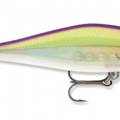 Rapala Shadow Rap Shad Jerkbait Lures