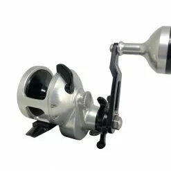 Accurate Tern Star Drag Conventional Reels