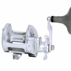Accurate Tern2 Star Drag Conventional Reels