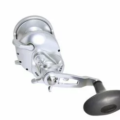 Accurate Tern2 Star Drag Conventional Reels