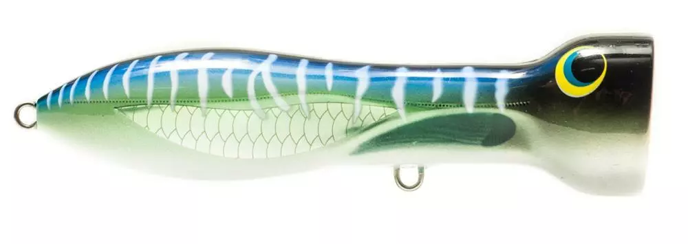 Lures Nomad Design Chug Norris 120 4.75" Popper 3 Lures Nomad Design Chug Norris 120 4.75" Popper