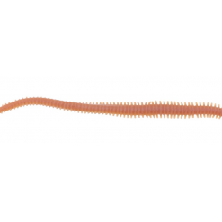 Berkley Gulp!® 6" Sandworm Lures