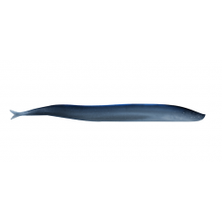 Berkley Gulp!® Saltwater 5" Sandeel Lures