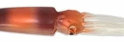 SquidNation Squid Nation Mauler Squids Lures