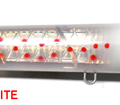 Madd Mantis Plank Spook Lures